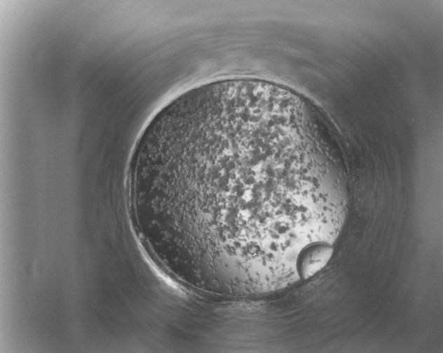 X0000060571519200511171618