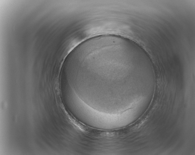 X0000060571521200511171618