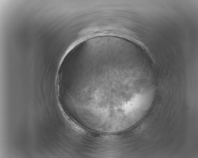 X0000060571522200511171618