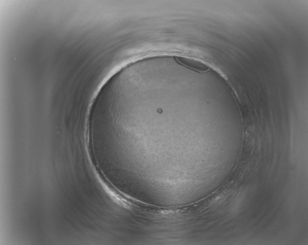 X0000060571523200511171618