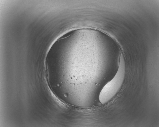 X0000060571524200511171618