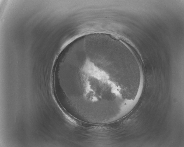 X0000060571525200511171618