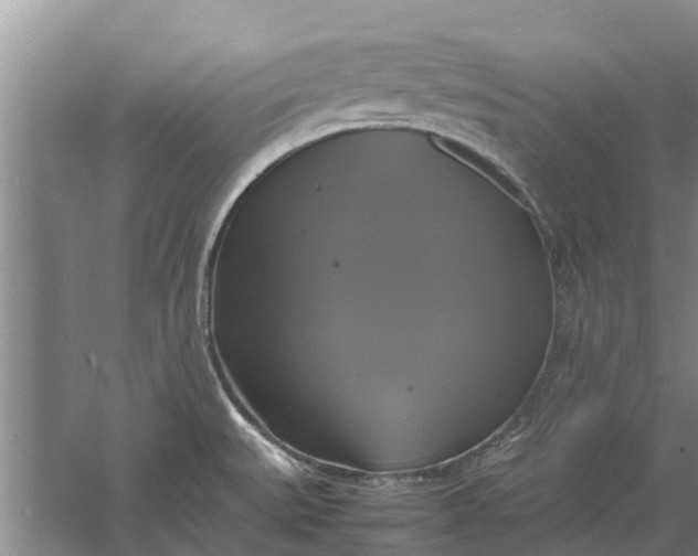 X0000060571527200511171618