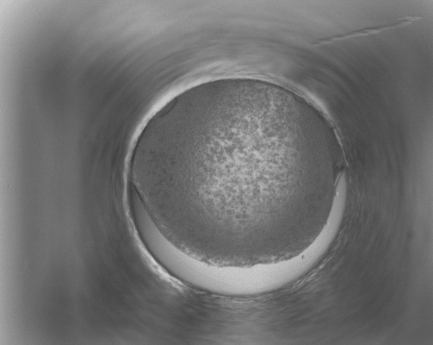 X0000060571528200511171618