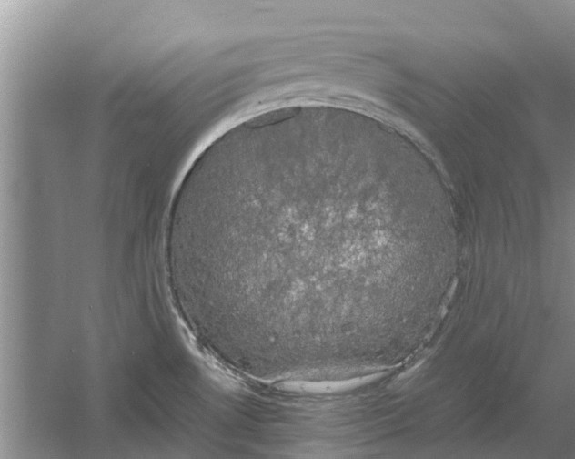 X0000060571530200511171618