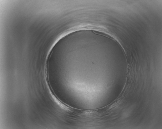 X0000060571531200511171618