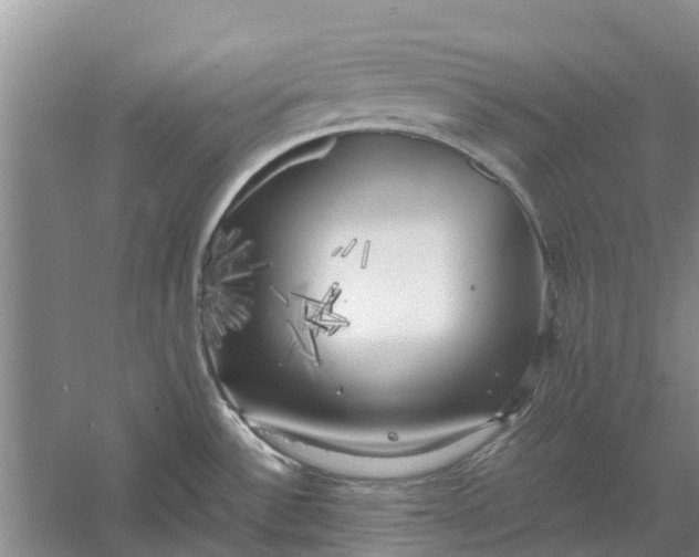 X0000060571532200511171618