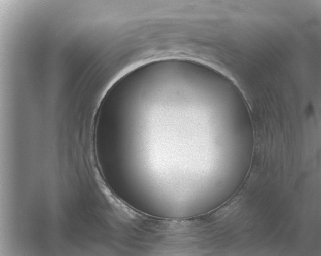 X0000060571534200511171618