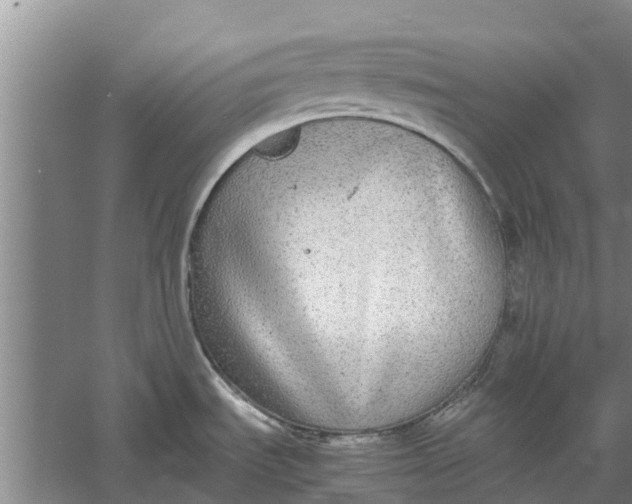 X0000060571535200511171618