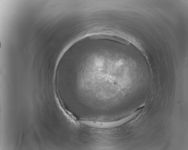 X0000060571536200511171618