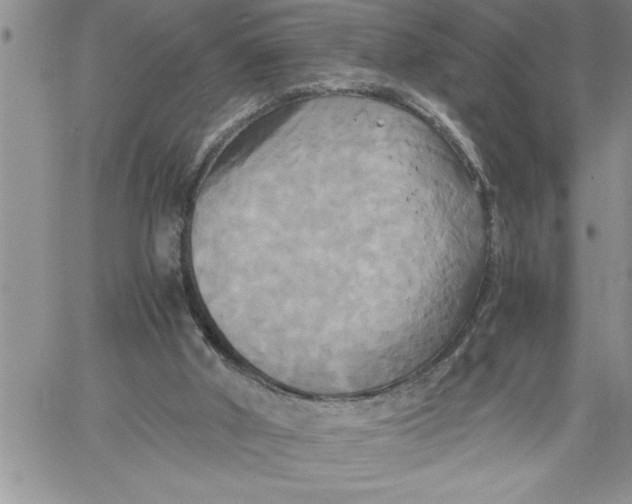 X0000060570010200511241328