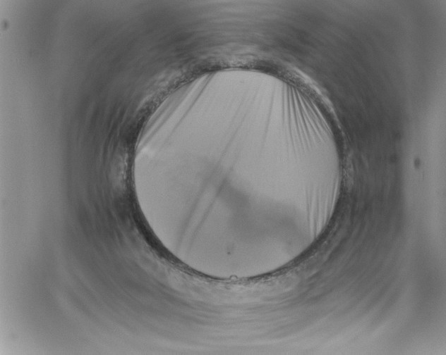 X0000060570018200511241327