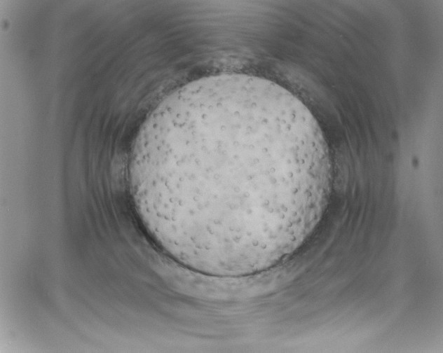 X0000060570034200511241327