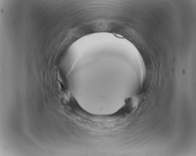 X0000060570035200511241327