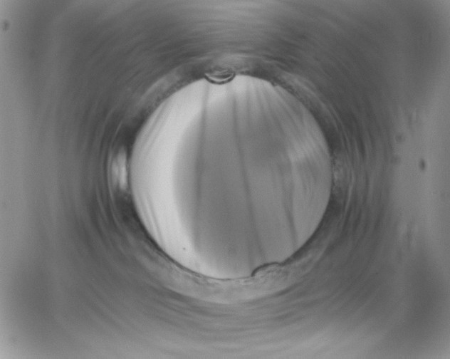 X0000060570046200511241327