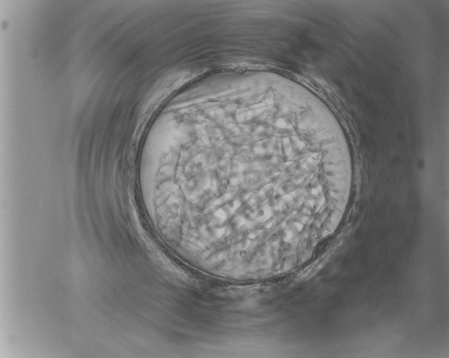 X0000060570049200511241326