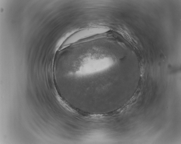 X0000060570052200511241326