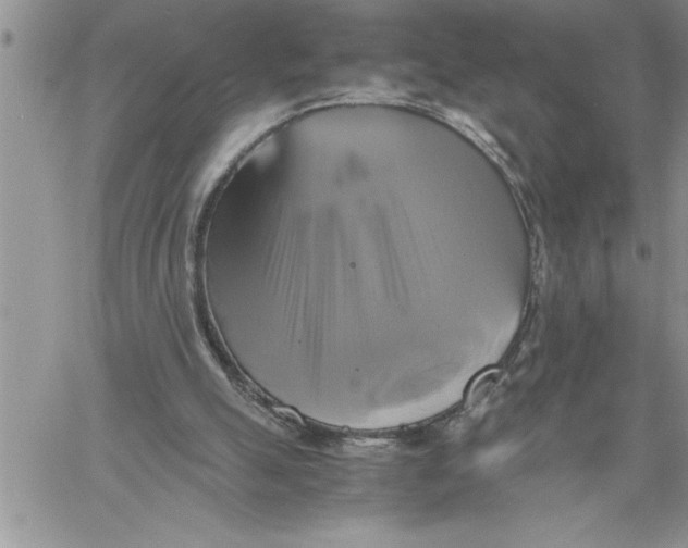 X0000060570055200511241326