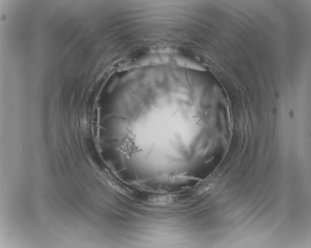 X0000060570084200511241327