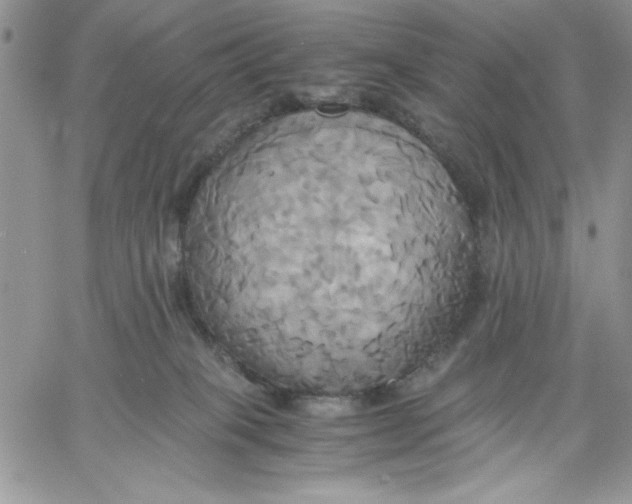 X0000060570085200511241327