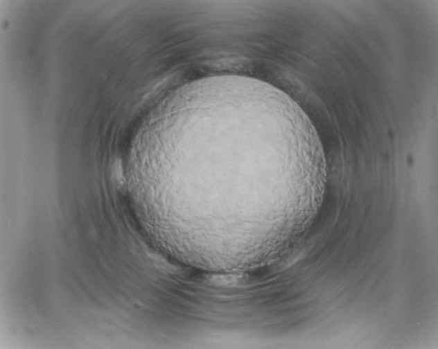 X0000060570089200511241327