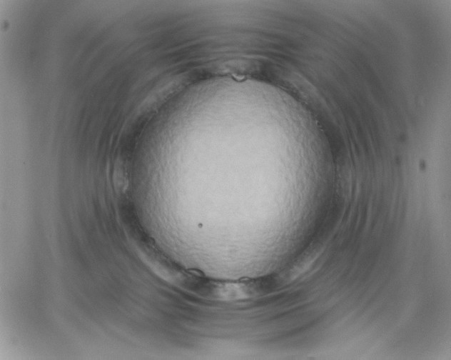 X0000060570091200511241327
