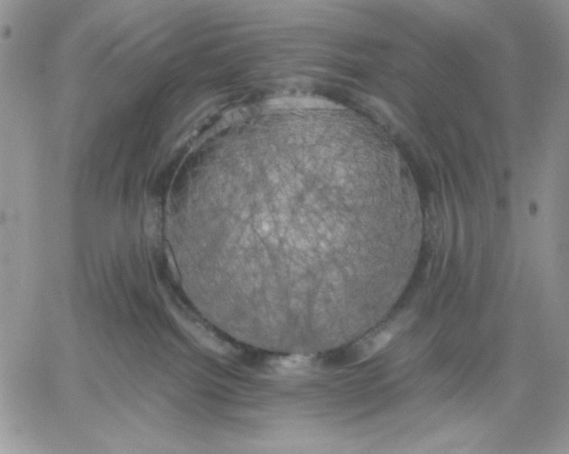 X0000060570092200511241327