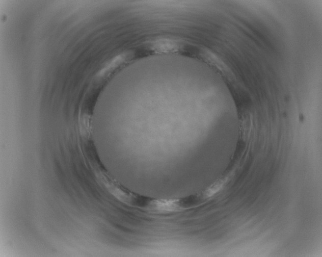 X0000060570093200511241327