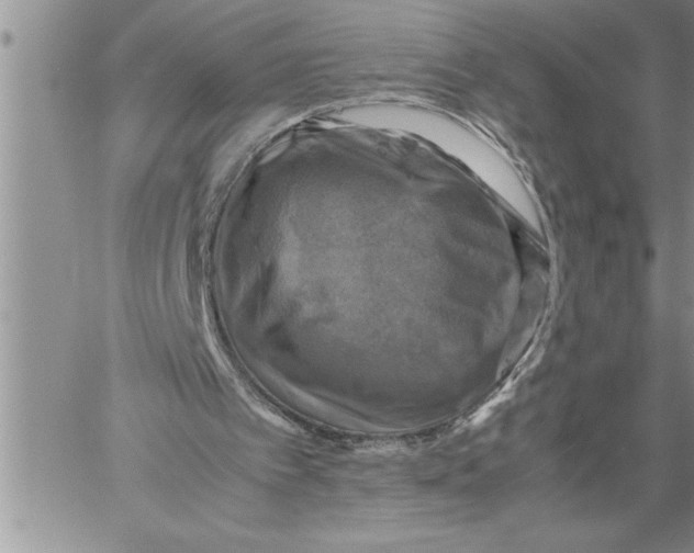 X0000060570097200511241326