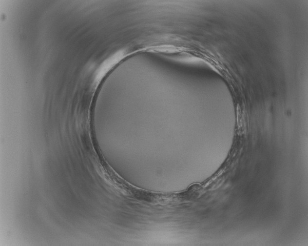 X0000060570099200511241326