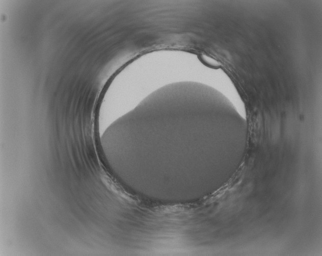 X0000060570100200511241326