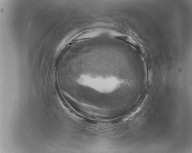 X0000060570101200511241326