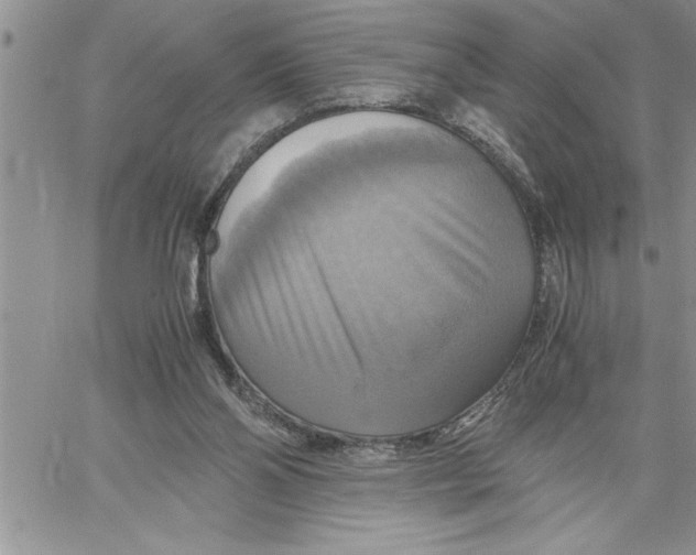 X0000060570110200511241326