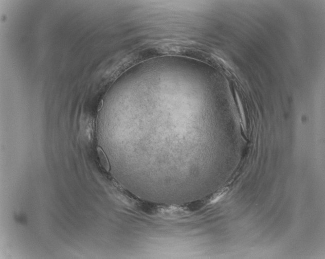 X0000060570125200511241326