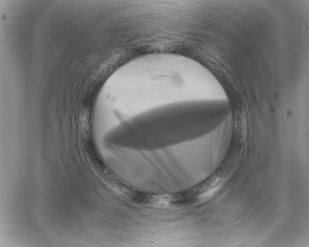 X0000060570127200511241326