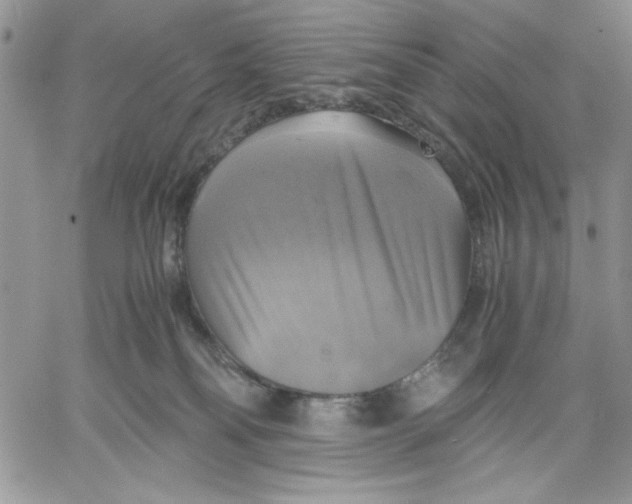 X0000060570134200511241325