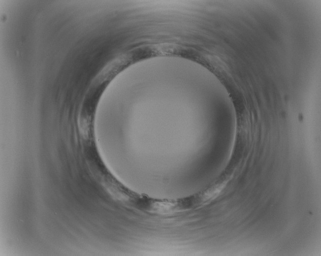 X0000060570139200511241325