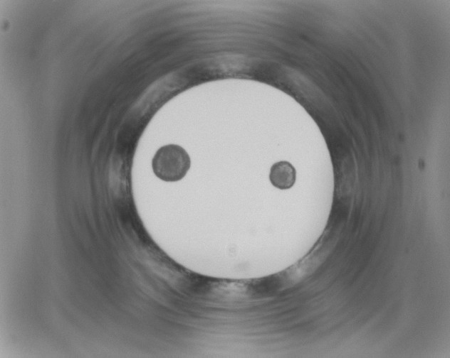 X0000060570140200511241325