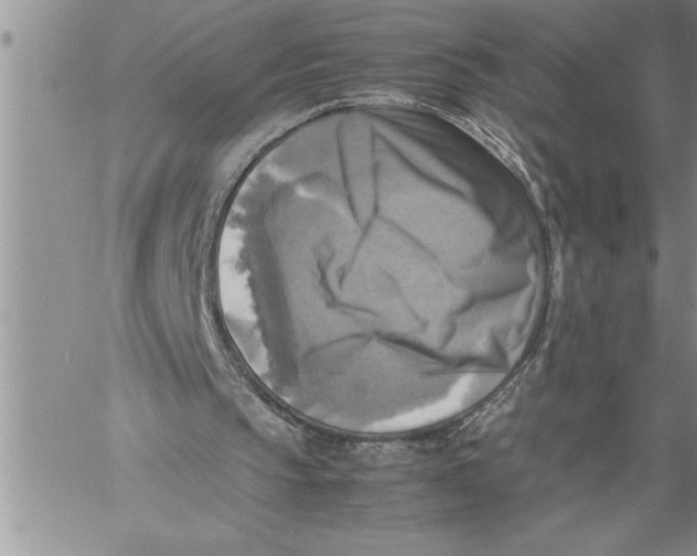 X0000060570145200511241325