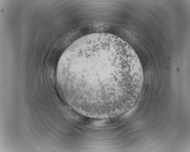 X0000060570178200511241325