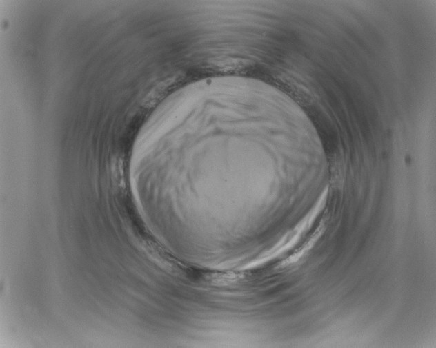 X0000060570182200511241325