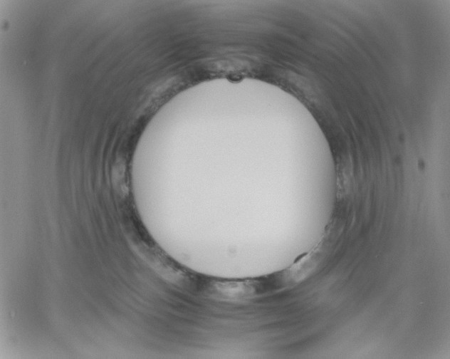 X0000060570187200511241325