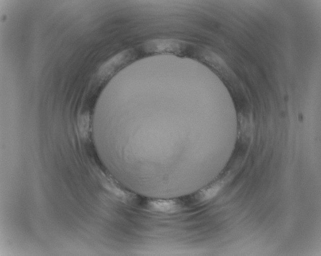 X0000060570189200511241325