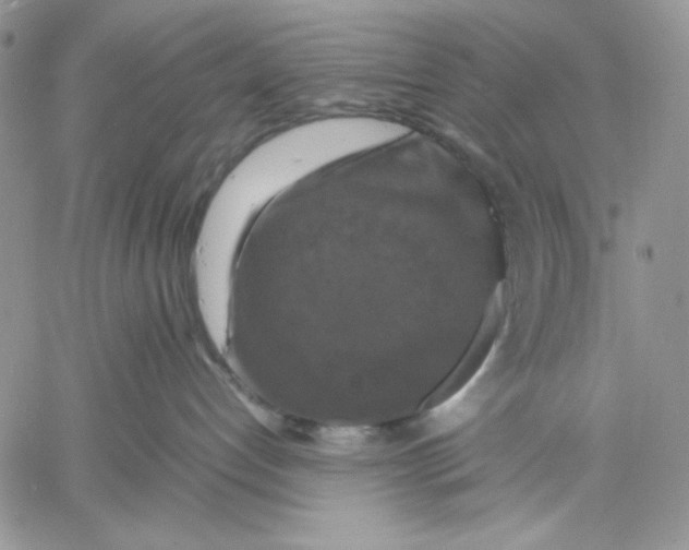 X0000060570192200511241325