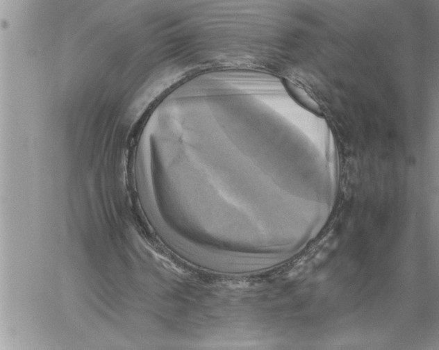X0000060570194200511241325
