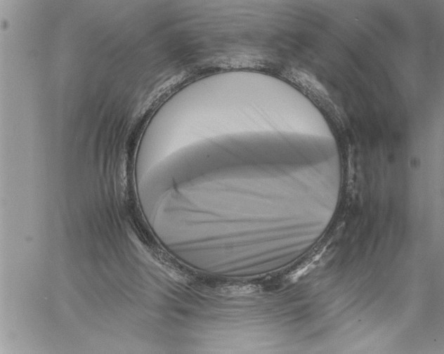 X0000060570202200511241324