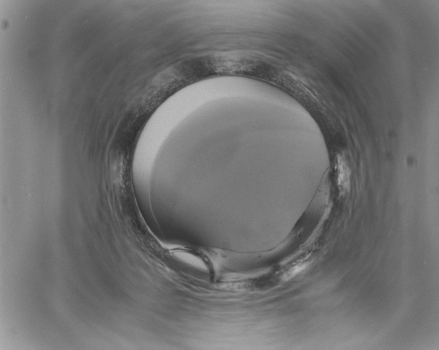 X0000060570219200511241324