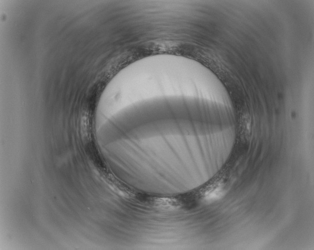 X0000060570222200511241324