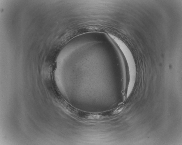 X0000060570227200511241324