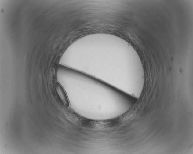 X0000060570229200511241324